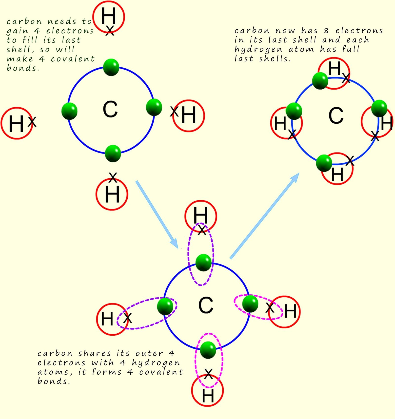dot and cross diagram for a methane molecule.